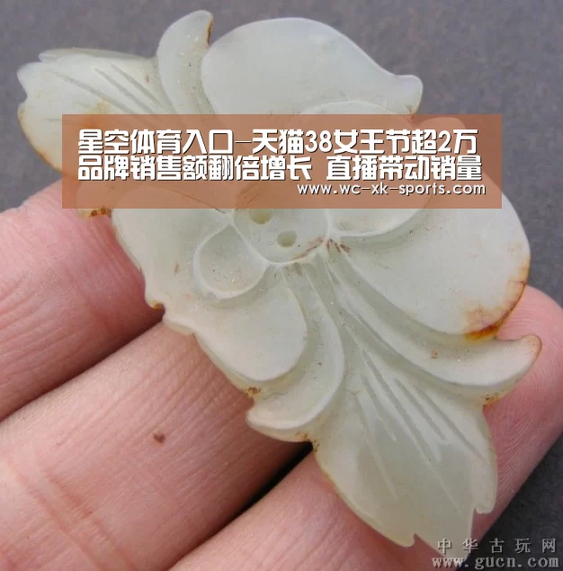 星空体育入口