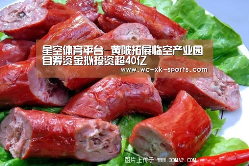 星空体育下载