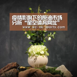疫情影响下的原油市场分析“星空体育网址”(图2) 星空体育下载