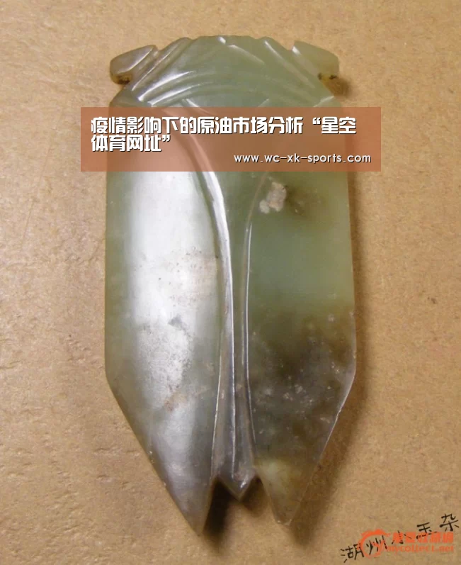 疫情影响下的原油市场分析“星空体育网址”(图1) 星空体育入口