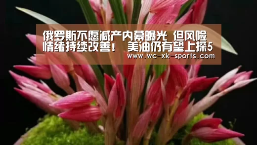 俄罗斯不愿减产内幕曝光 但风险情绪持续改善! 美油仍有望上探52.8-星空体育下载(图2) 星空体育网址