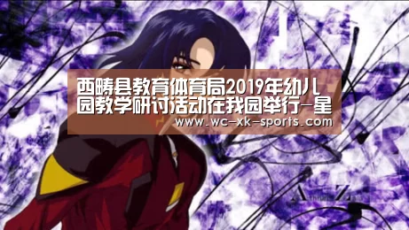 西畴县教育体育局2019年幼儿园教学研讨活动在我园举行-星空
